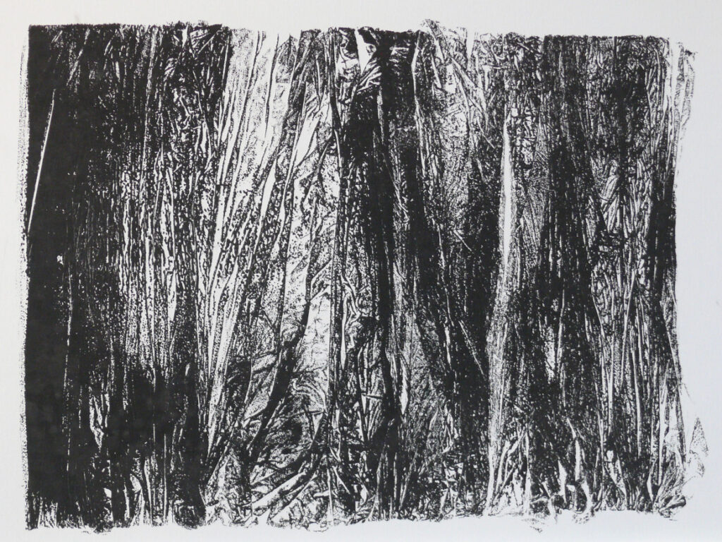 Wald | 42 x 29,5 cm; Materialdruck auf Papier